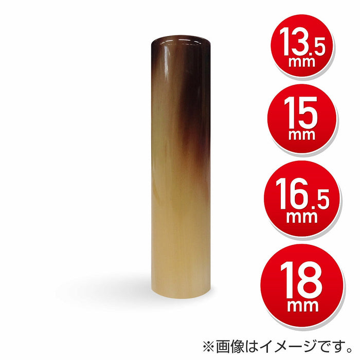オランダ水牛(上) 実印