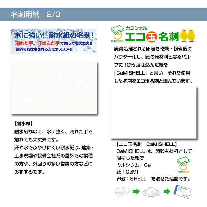 ロゴ名刺 カラー 片面 C横03(明朝体)