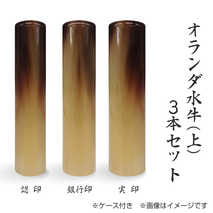 オランダ水牛(上) 3本セット(実印+銀行印+認印)ケース付