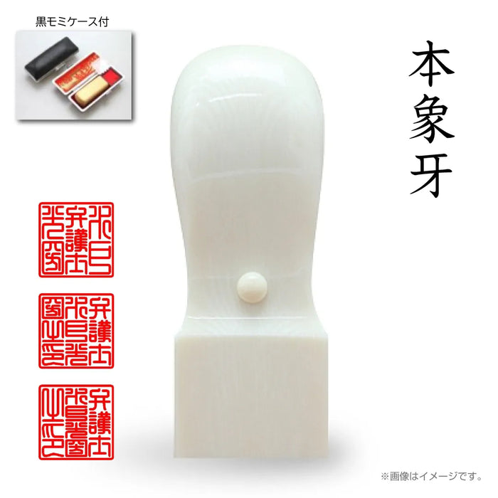 職業印鑑 タイプA 角印（天角24.0mm）