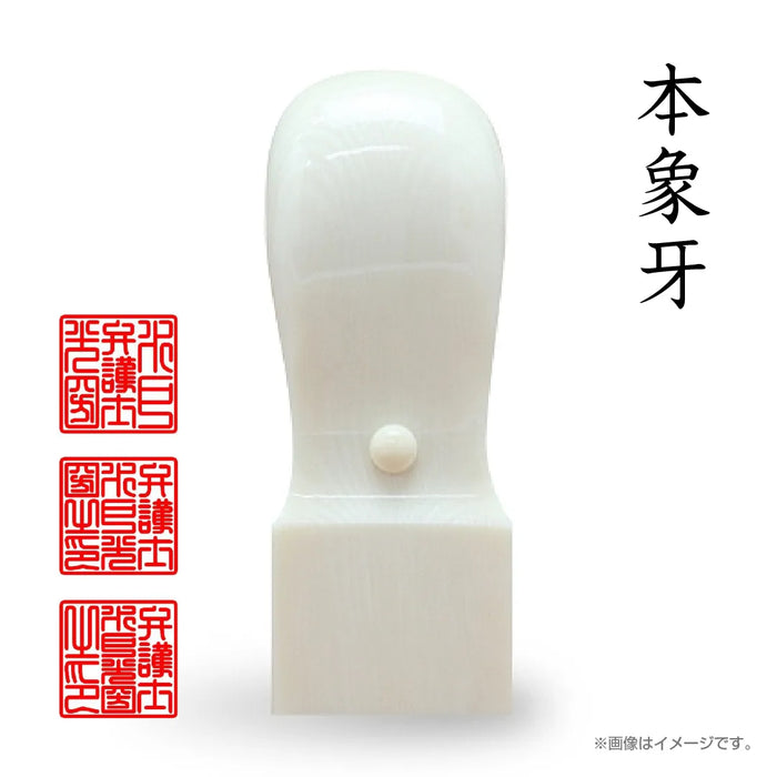 職業印鑑 タイプB 角印（天角24.0mm）