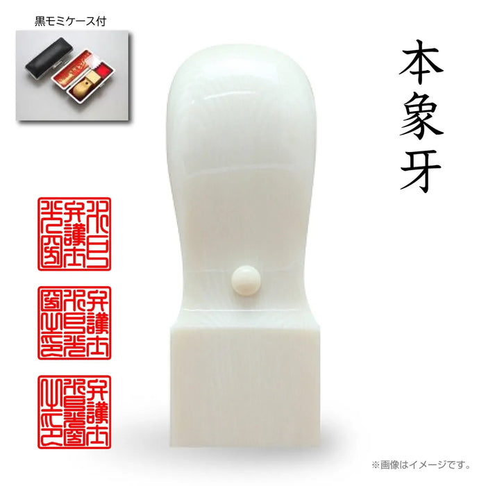 職印 タイプB 角印（天角24.0mm）