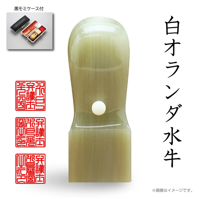 職印 タイプB 角印（天角24.0mm）