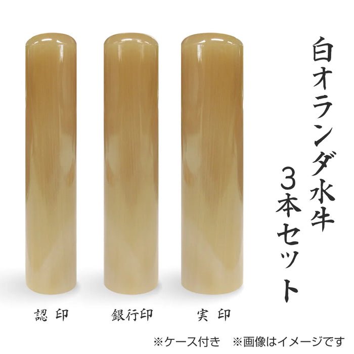 白オランダ水牛 3本セット(実印+銀行印+認印)ケース付 — はんこ屋さん 白オランダ水牛 3本セット(実印+銀行印+認印)ケース付 — はんこ屋さん